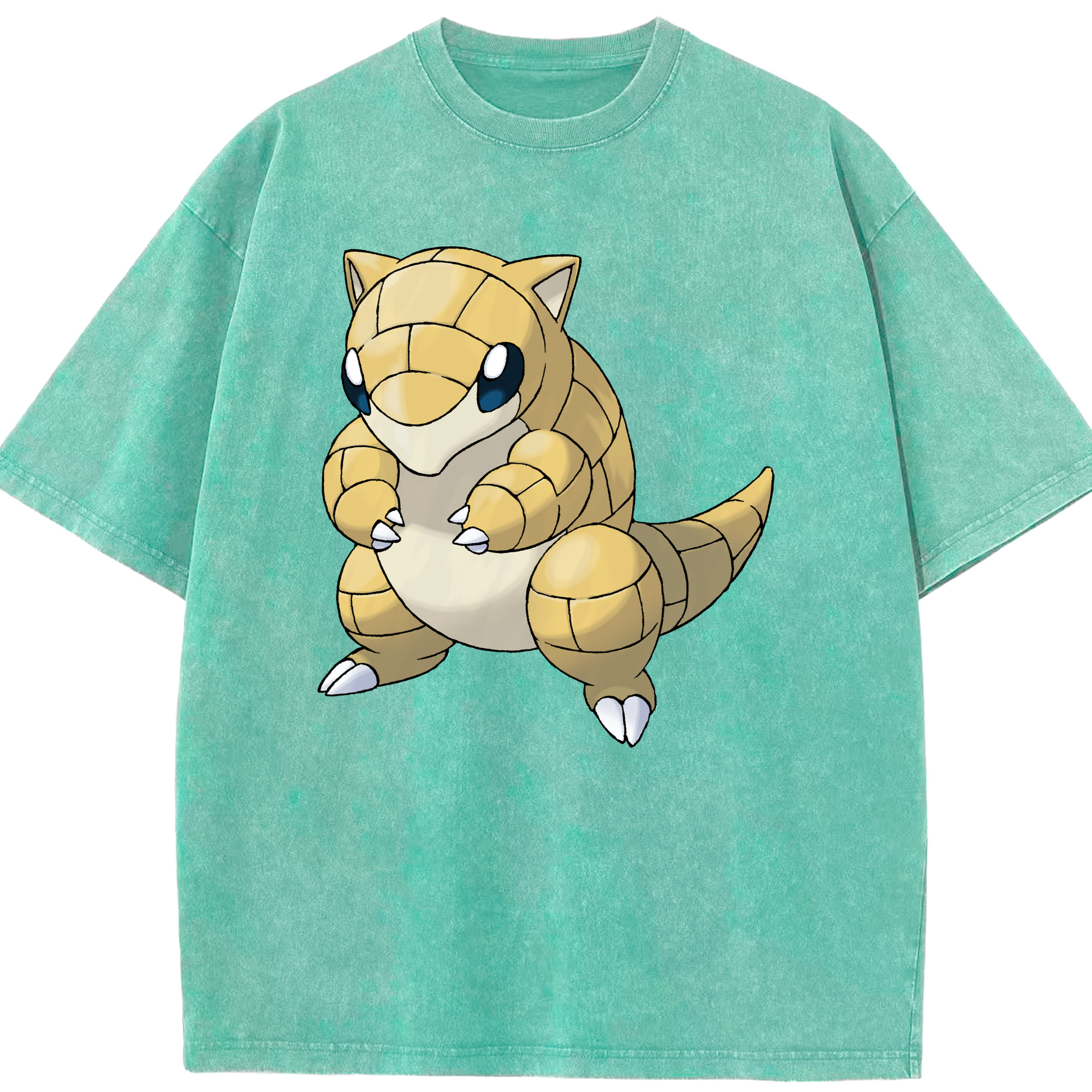 （画像用） ポケットモンスター Pokémon 綿100% ヴィンテージ風 半袖Tシャツ（フロントプリント）